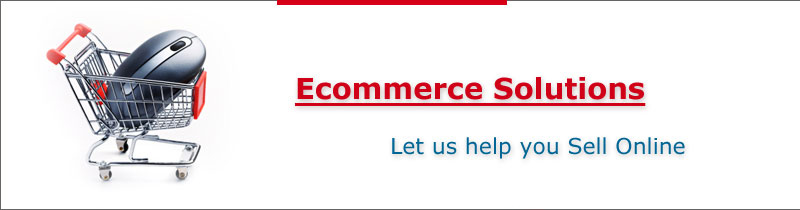 Image result for e commerce web india solutions